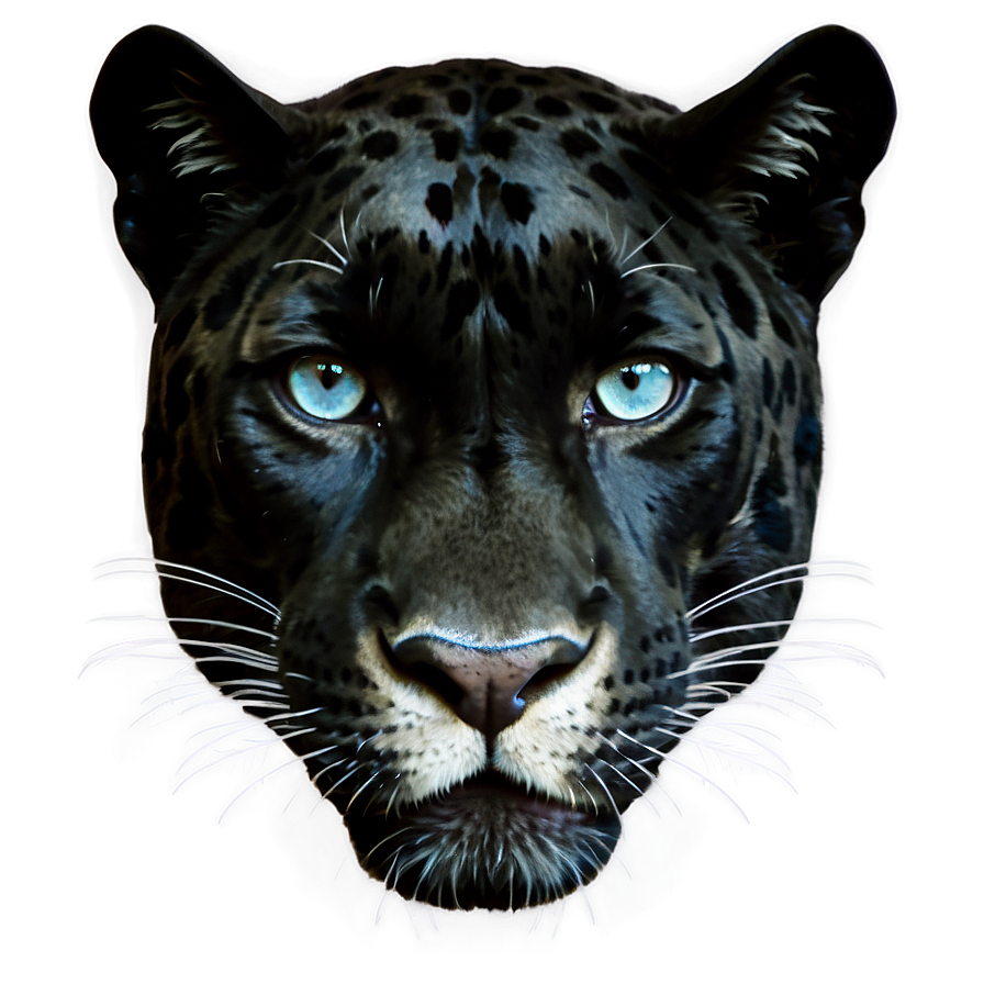 Panther Print Png Luj26 PNG image