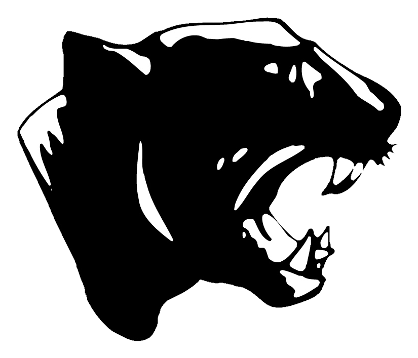 Panthers Team Logo Silhouette PNG image