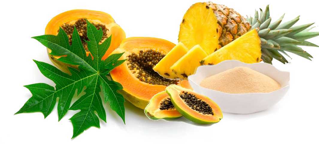 Papaya Pineapple Fruit Display PNG image