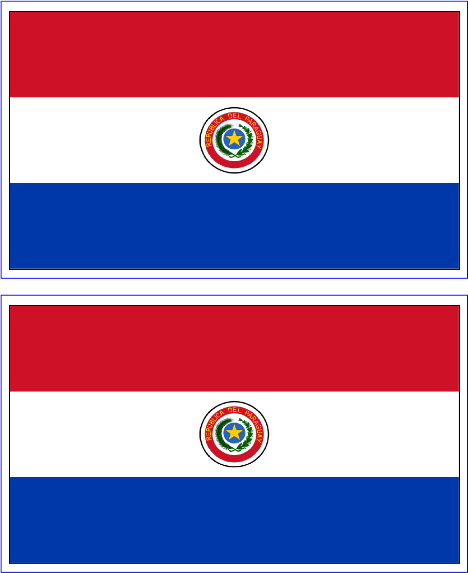 Paraguay National Flag Frontand Back PNG image