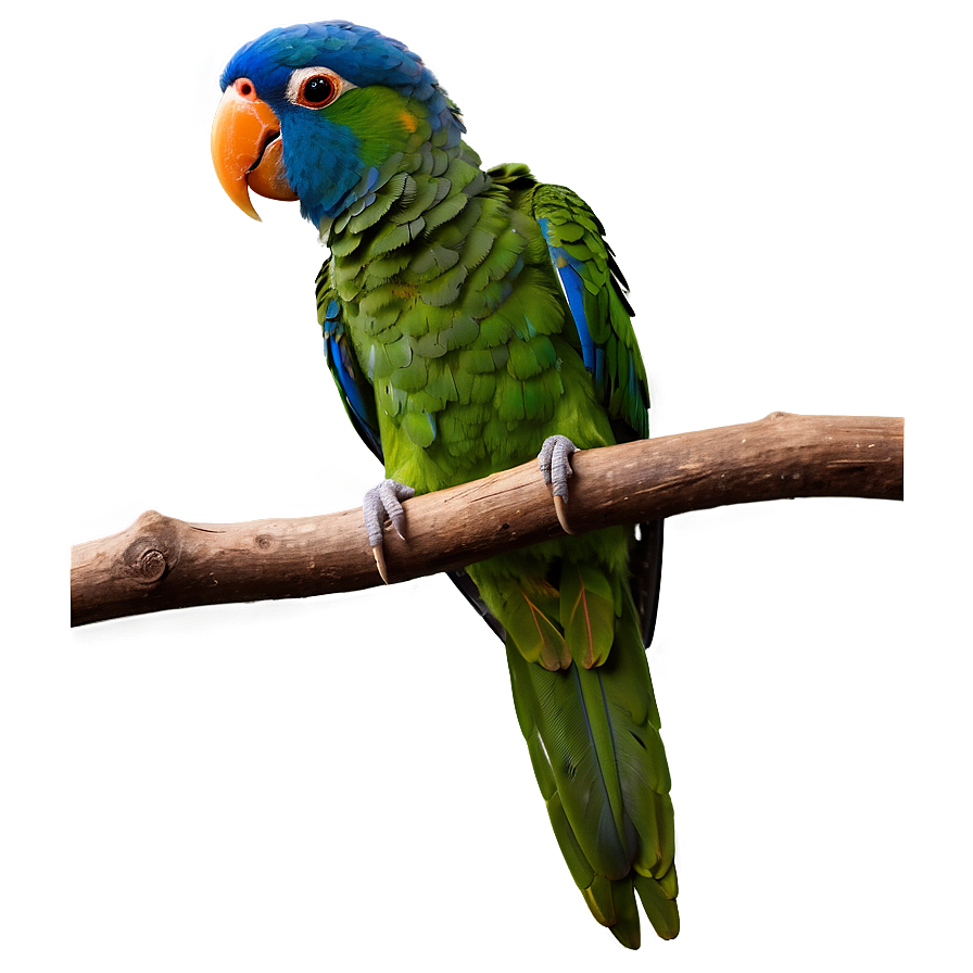 Parrot On Branch Png 05242024 PNG image