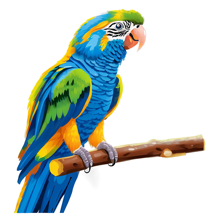 Parrot With Fruit Png Xgb PNG image