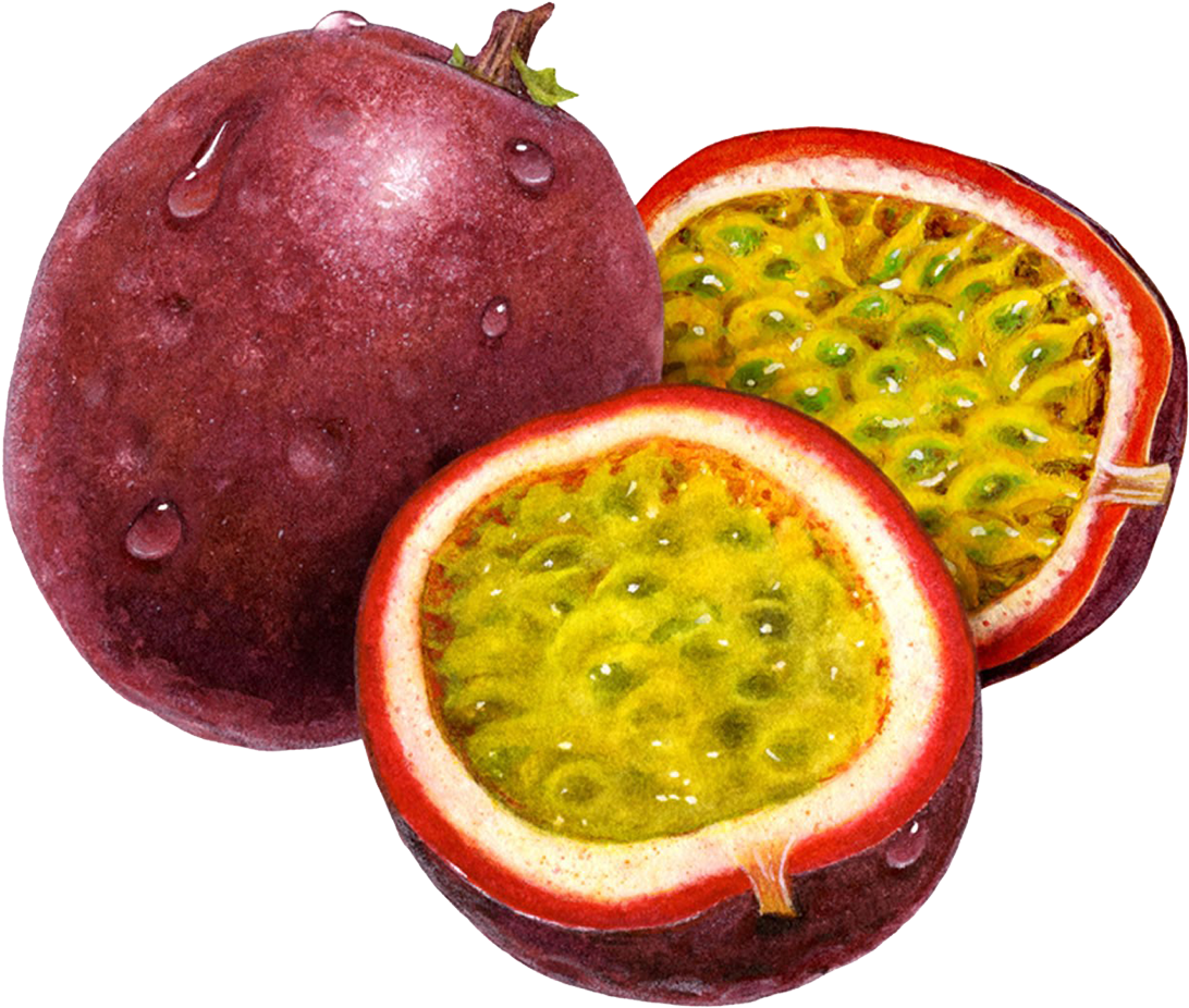 Passion Fruit Freshand Sliced.png PNG image