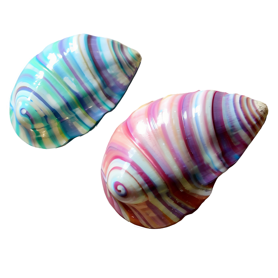 Pastel Colored Shells Png 06212024 PNG image