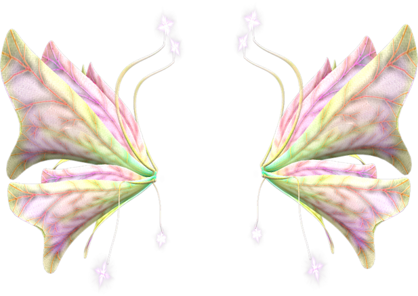 Pastel_ Fairy_ Wings_ Symmetrical_ Design.png PNG image