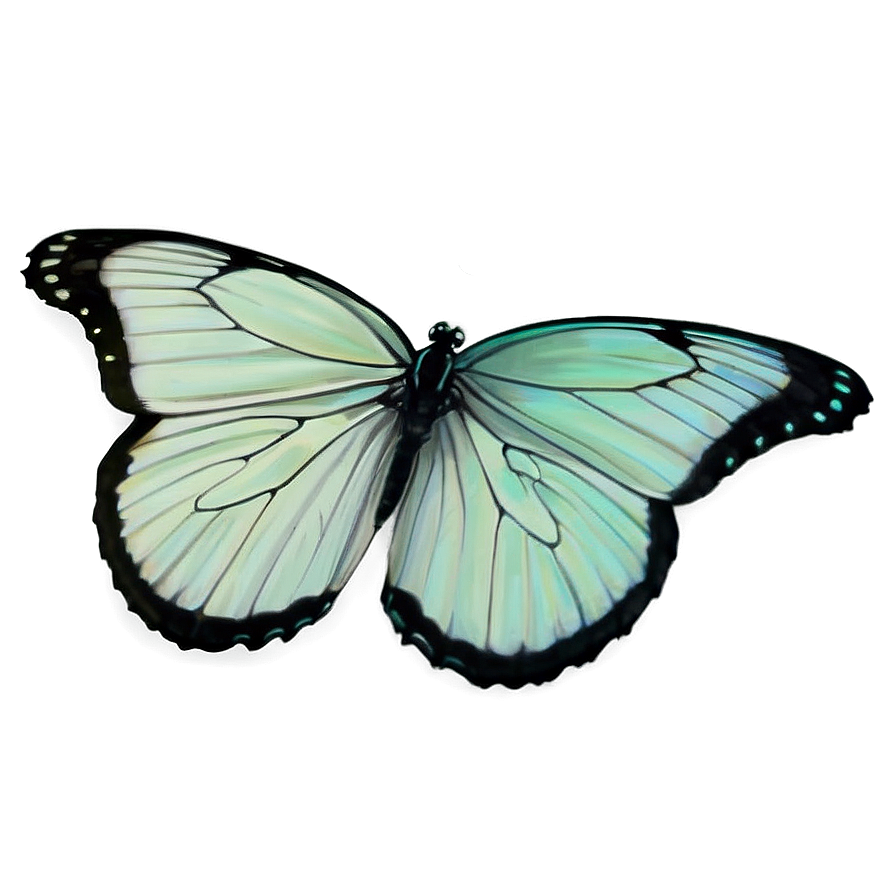 Pastel Green Butterfly Png 06202024 PNG image