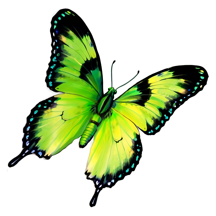 Pastel Green Butterfly Png 06202024 PNG image