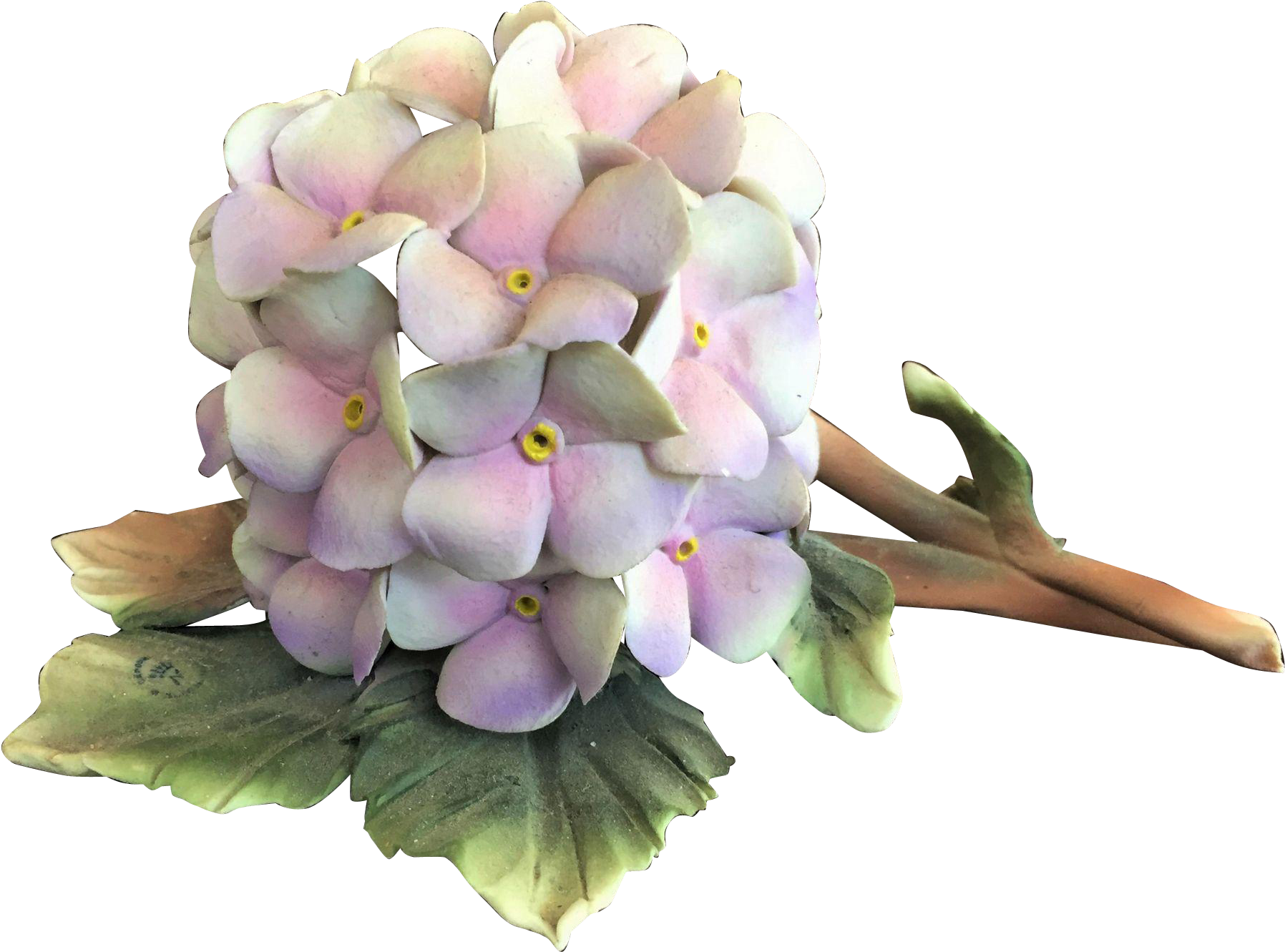 Pastel Hydrangea Bloom PNG image
