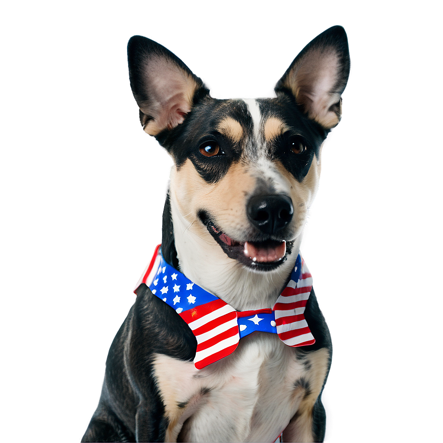 Patriotic Dog Costume On 4th Of July Png Mfs PNG image