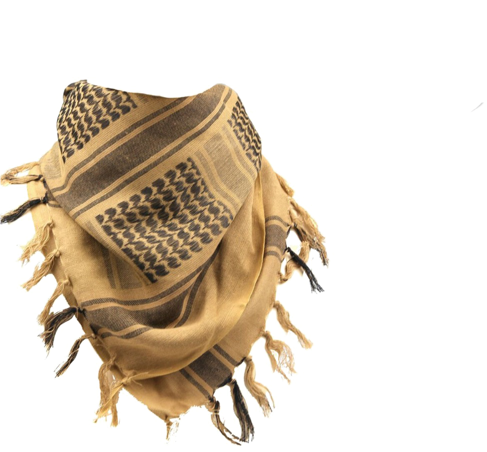 Patterned Brown Scarfwith Fringe PNG image