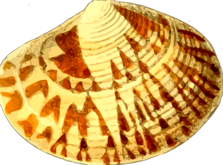 Patterned Seashell Artistic Rendering PNG image