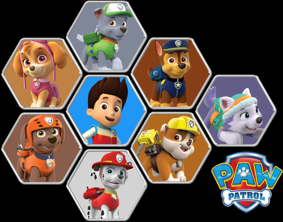 Paw Patrol Characters Collage PNG image