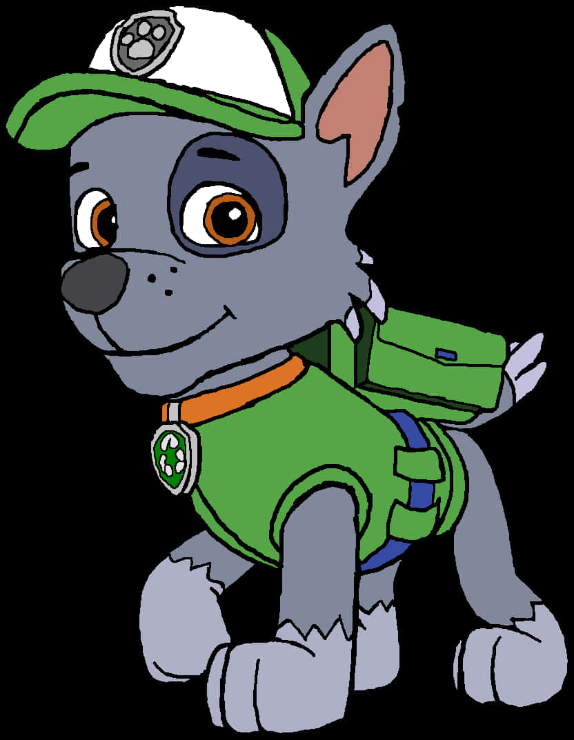 Paw Patrol Rocky Character Illustration PNG image