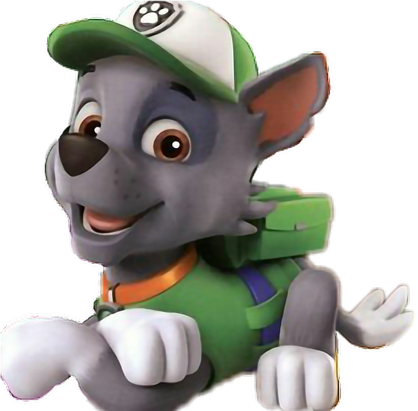 Paw Patrol Rocky Character Image PNG image