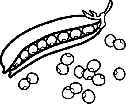 Pea Pod Silhouette Graphic PNG image