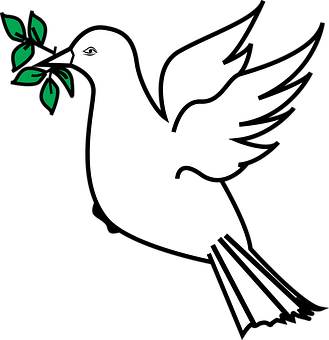 Peace Dove Vector Illustration PNG image