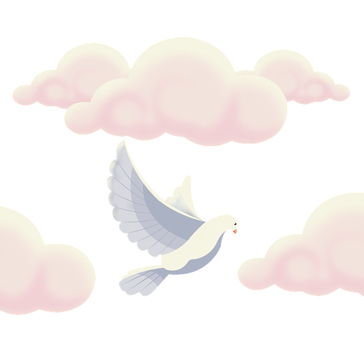 Peaceful Pigeon Among Clouds PNG image