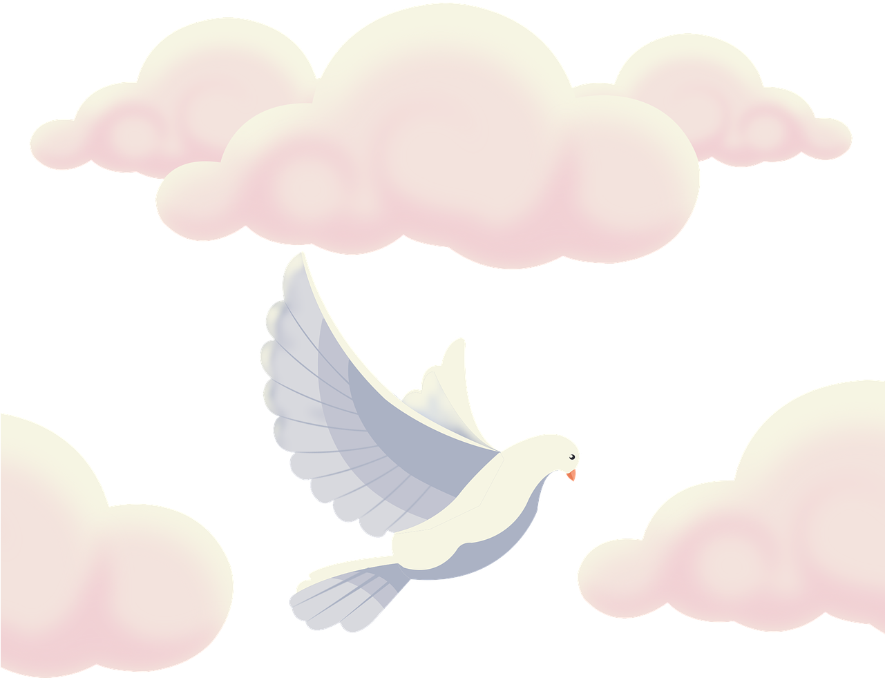 Peaceful Pigeon Among Clouds PNG image