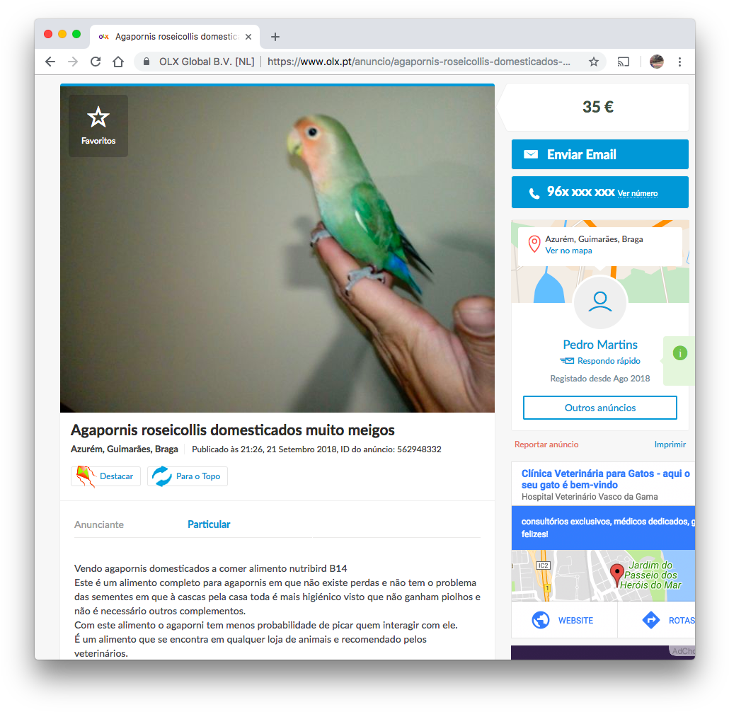 Peach Faced Budgie On Hand.jpg PNG image