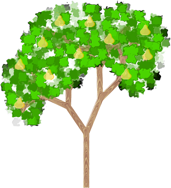 Pear Tree Illustration PNG image