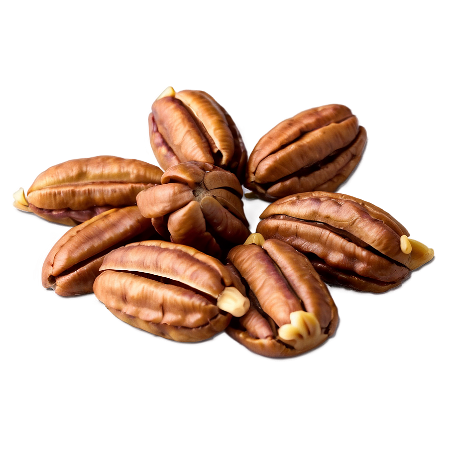 Pecan Cluster Png 06272024 PNG image