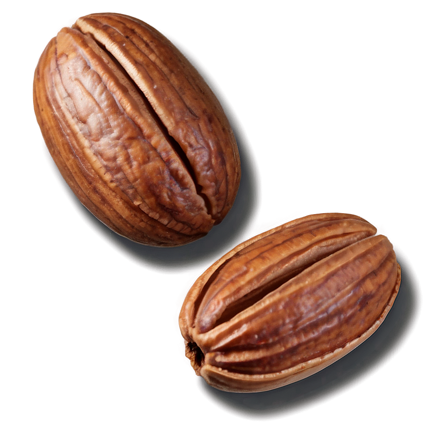 Pecan Nut Png 06122024 PNG image