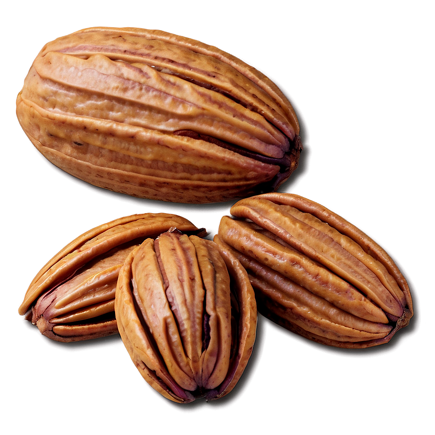 Pecan Nut Png Frm PNG image