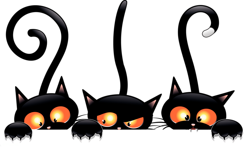 Peekaboo Black Cats Cartoon PNG image