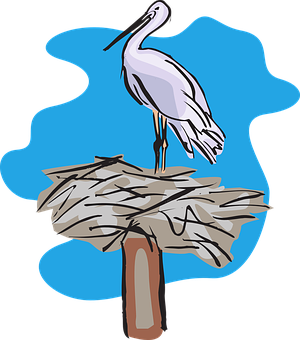 Pelican_ Perched_on_ Nest_ Vector PNG image