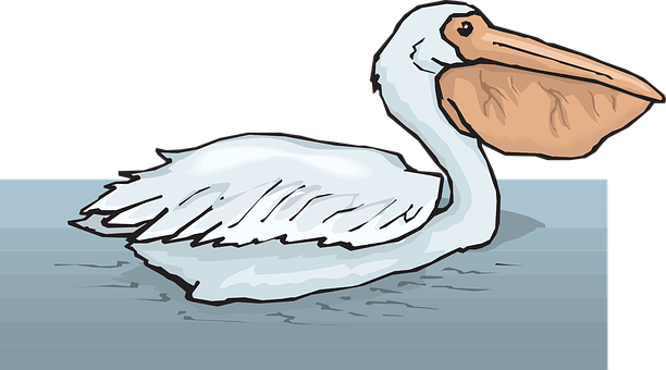 Pelicanon Water Illustration PNG image
