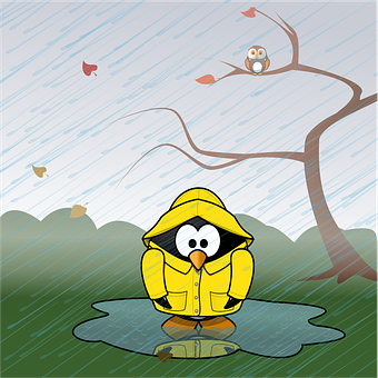 Penguinin Raincoat Rainy Day PNG image