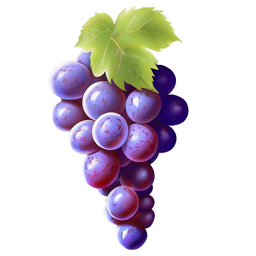 Perfect Grape Illustration Png Iwr PNG image