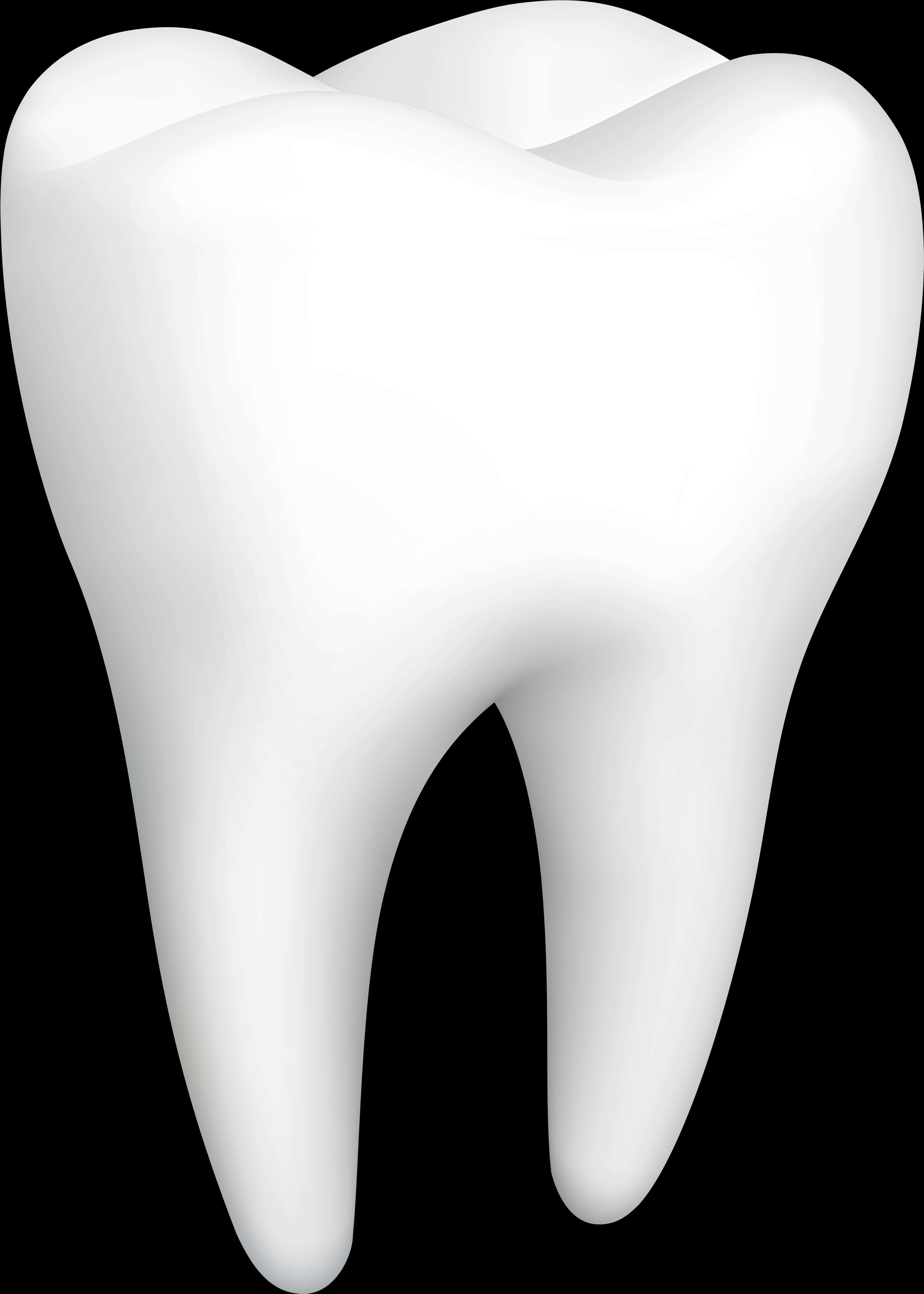 Perfect White Molar Tooth PNG image