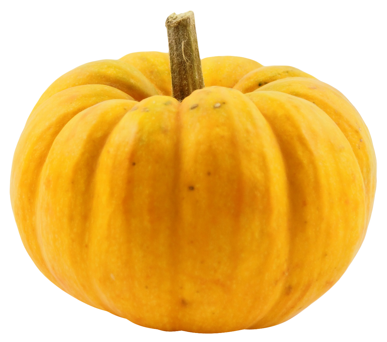 Perfect Yellow Pumpkin Isolated Background.png PNG image