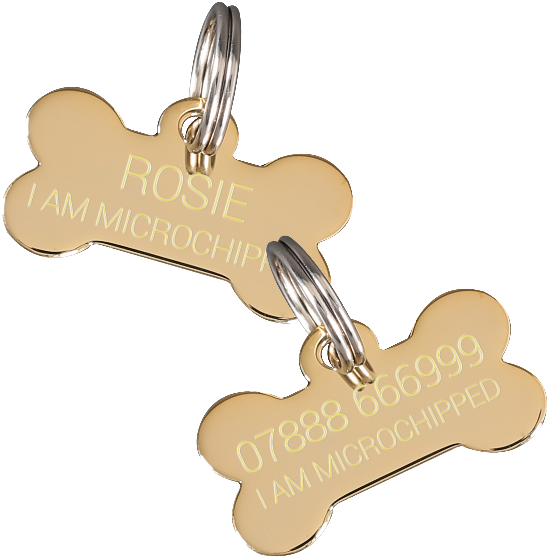 Personalized Dog Bone I D Tags PNG image