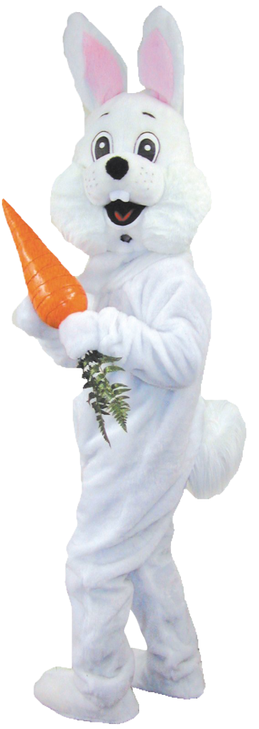 Personin Bunny Costume Holding Carrot PNG image