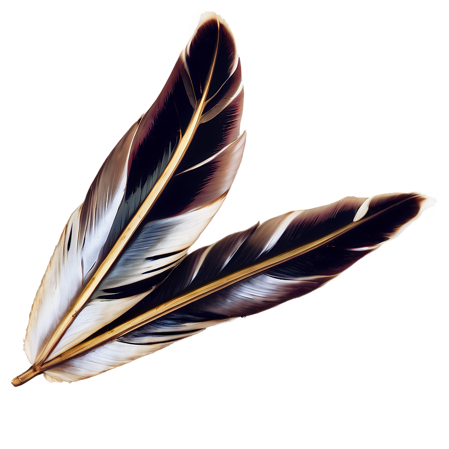 Peso Pluma Graphic Png 06132024 PNG image