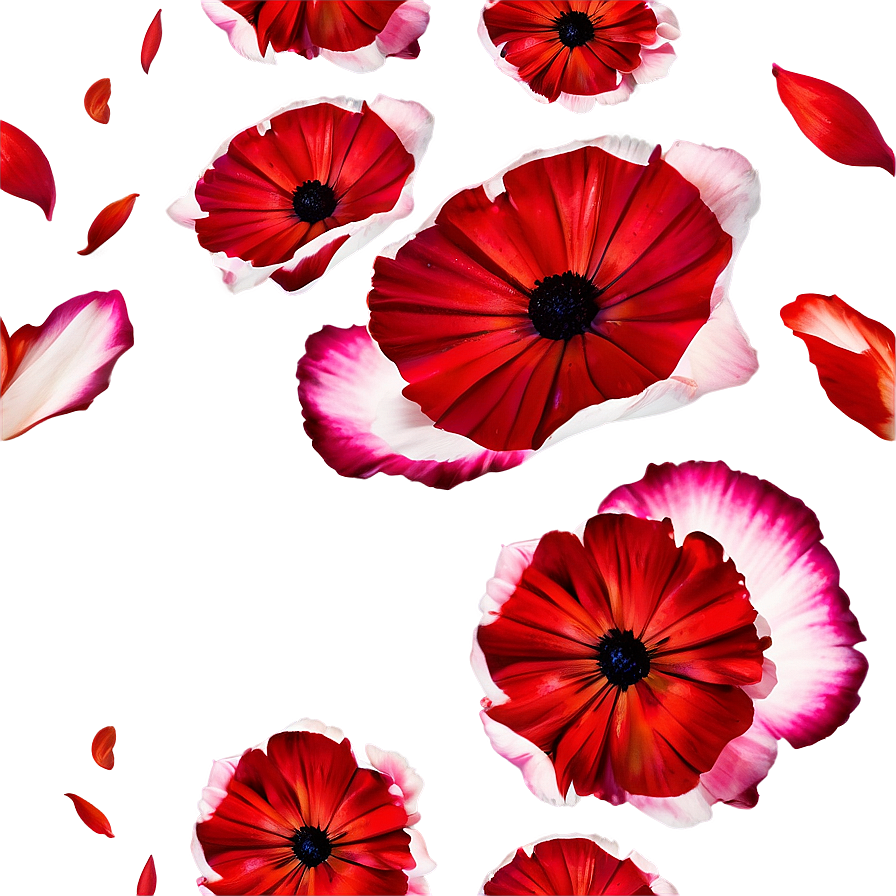 Petals D PNG image