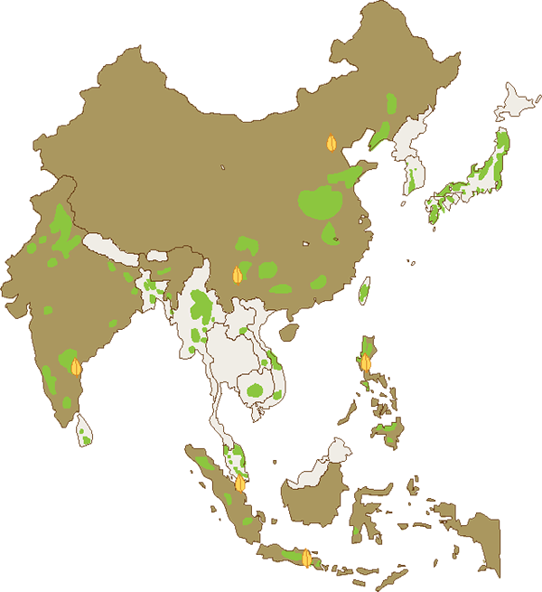 Philippines Vegetation Map PNG image