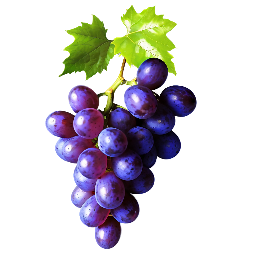 Photorealistic Grape Png 06292024 PNG image