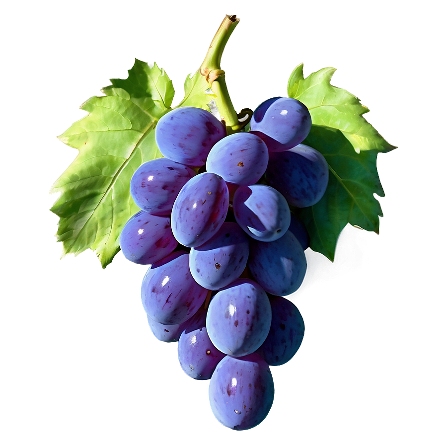 Photorealistic Grape Png Tlm PNG image