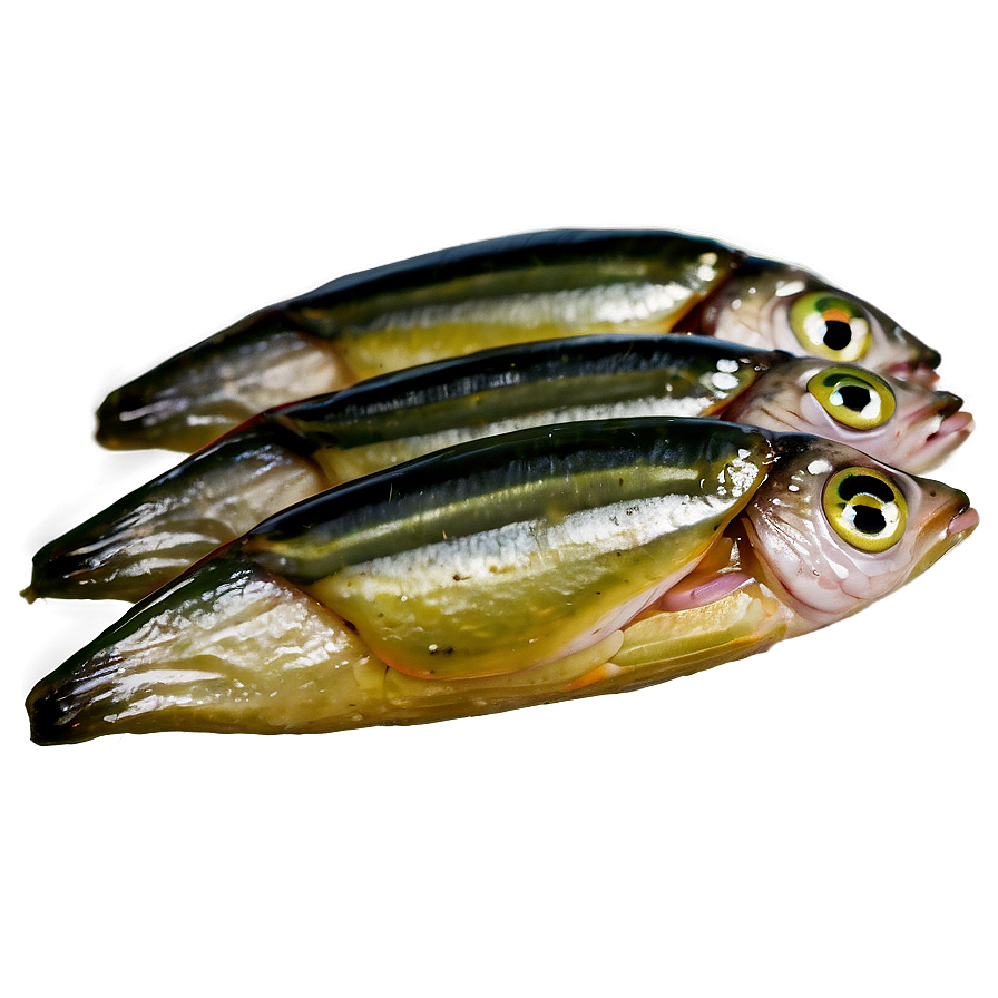 Pickled Sardines Png Bdo84 PNG image