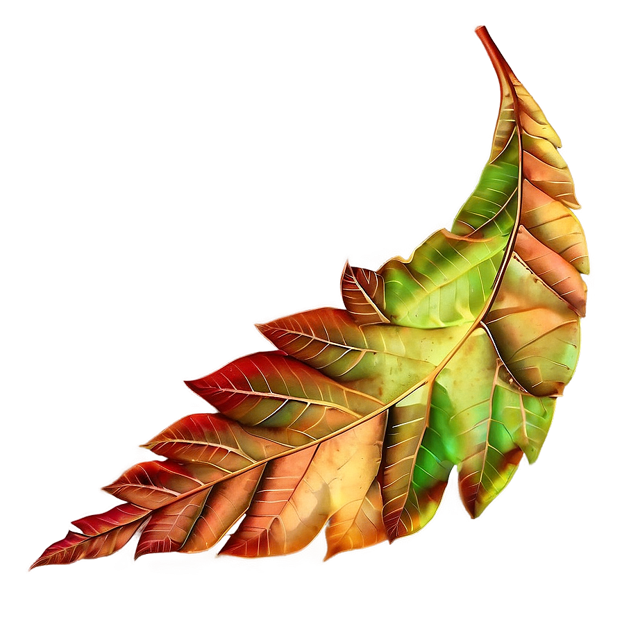 Picturesque Autumn Leaves Png 51 PNG image