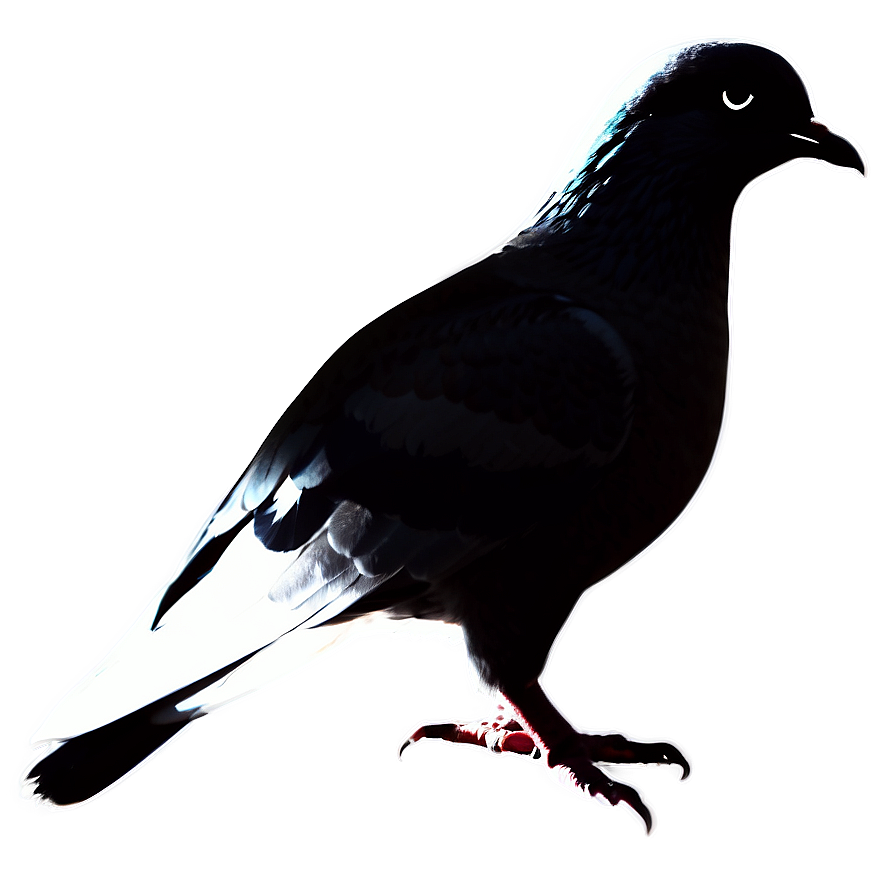 Pigeon Silhouette Png 42 PNG image