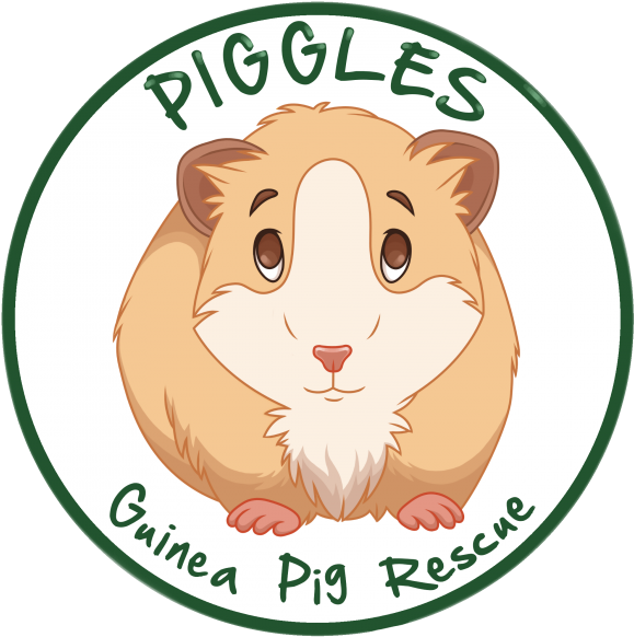 Piggles Guinea Pig Rescue Logo PNG image