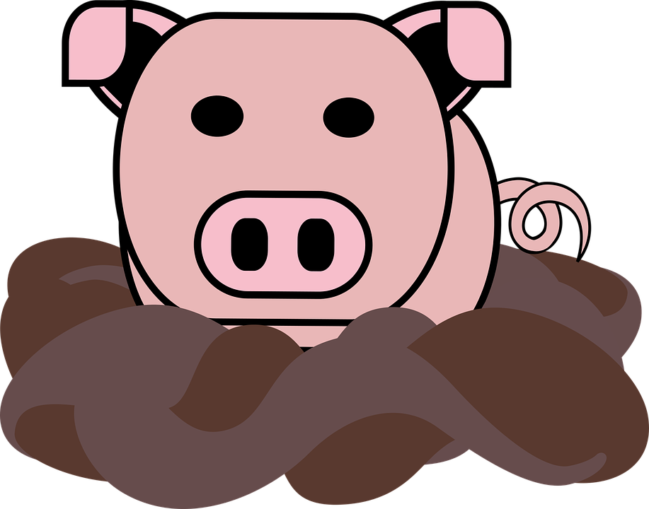Pigin Mud Cartoon PNG image