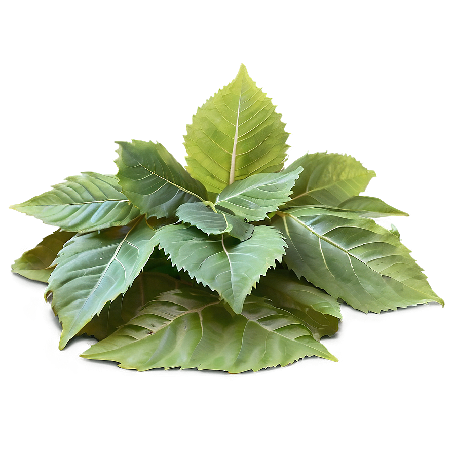 Pile Of Leaves In Sunlight Png 39 PNG image