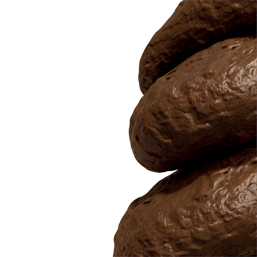 Pile Of Poop Png 05232024 PNG image