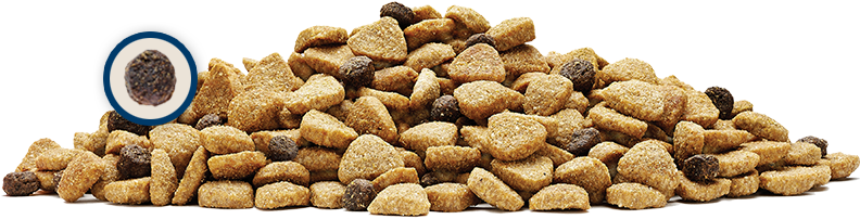 Pileof Dry Dog Food PNG image