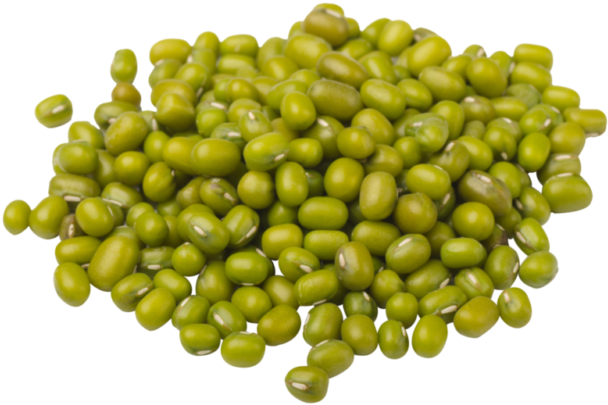 Pileof Green Beans PNG image